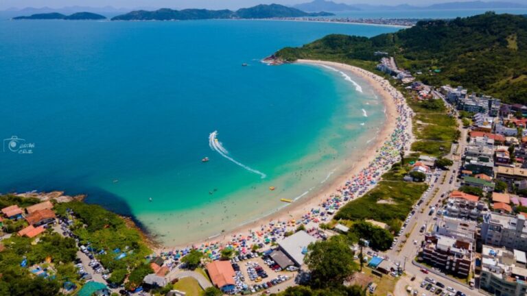 Do rio ao mar: nossas atitudes ajudam a proteger os oceanos, rios e estuários