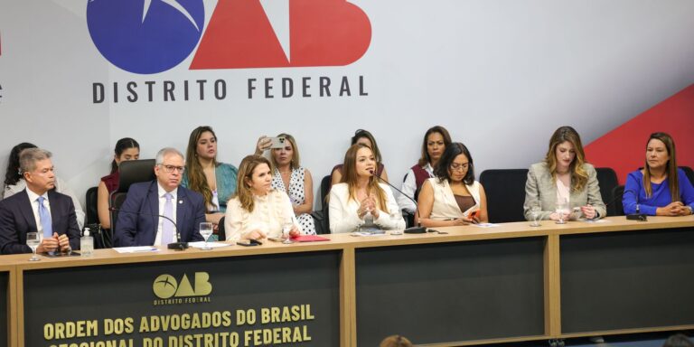 OAB/DF lança “violentômetro” sobre estágios da agressão a mulheres oab/df-lanca-“violentometro”-sobre-estagios-da-agressao-a-mulheres