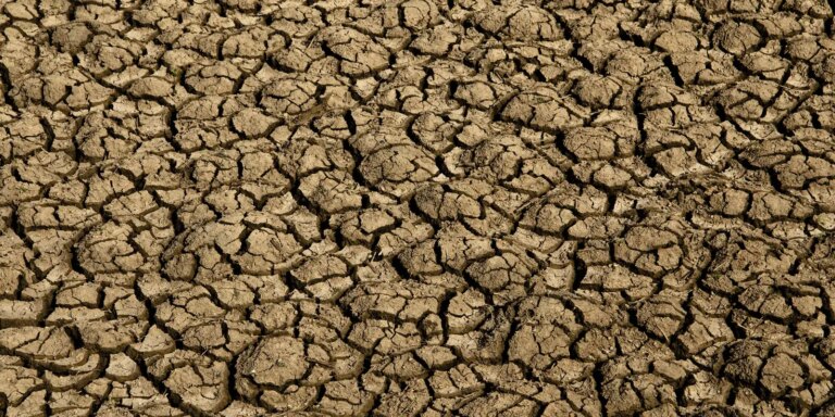 desertificacao-no-brasil-ameaca-seguranca-hidrica-e-alimentar