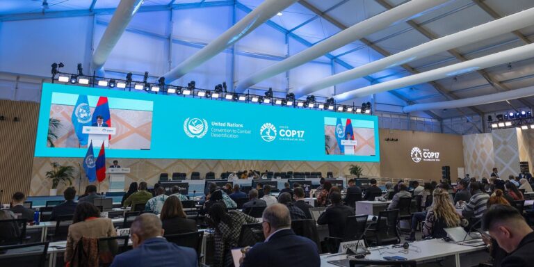 COP17 entra em semana decisiva com missão de destravar financiamento cop17-entra-em-semana-decisiva-com-missao-de-destravar-financiamento
