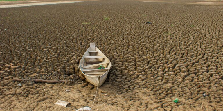 brasil-promete-restaurar-163-mil-km²-de-terras-degradadas-ate-2030 