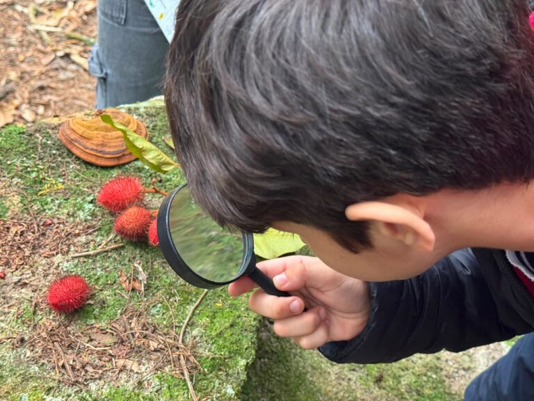 Estudantes de Itapema conhecem biodiversidade do município em atividades no REVIS estudantes-de-itapema-conhecem-biodiversidade-do-municipio-em-atividades-no-revis