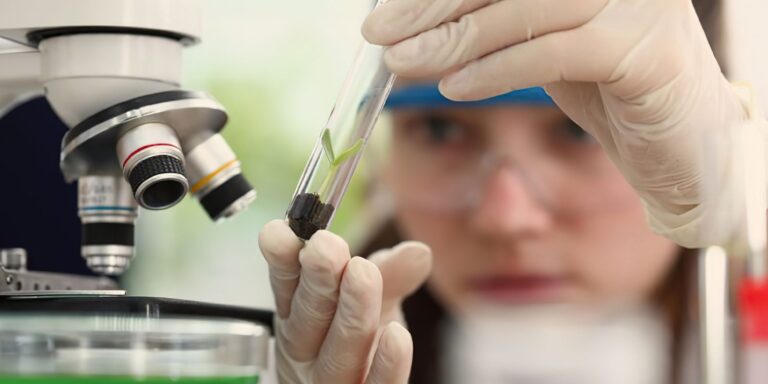 Prêmio para mulheres e meninas cientistas abre inscrições até outubro premio-para-mulheres-e-meninas-cientistas-abre-inscricoes-ate-outubro