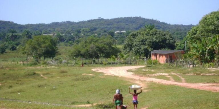 Programa de Reforma Agrária inclui 2,4 mil quilombolas no Maranhão programa-de-reforma-agraria-inclui-2,4-mil-quilombolas-no-maranhao