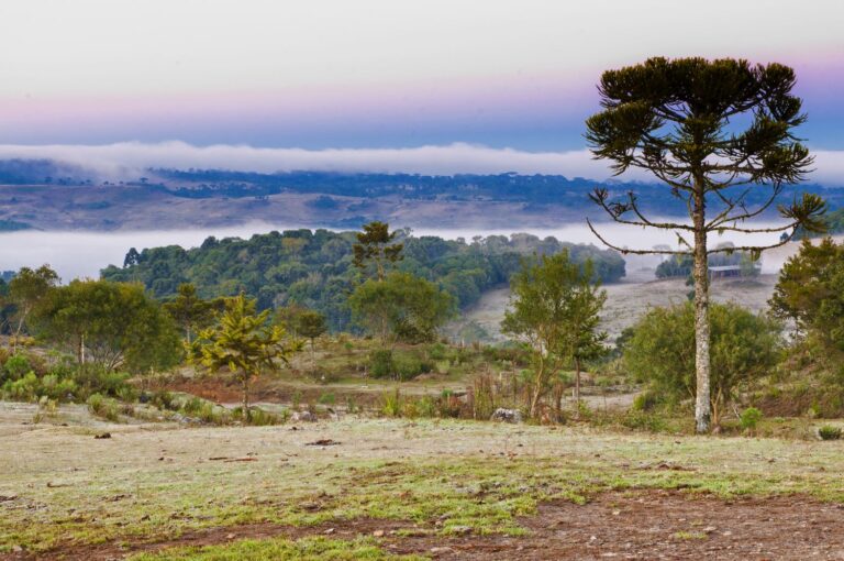 Frio persiste em Santa Catarina nesta semana e chuva forte retorna a partir de sexta frio-persiste-em-santa-catarina-nesta-semana-e-chuva-forte-retorna-a-partir-de-sexta