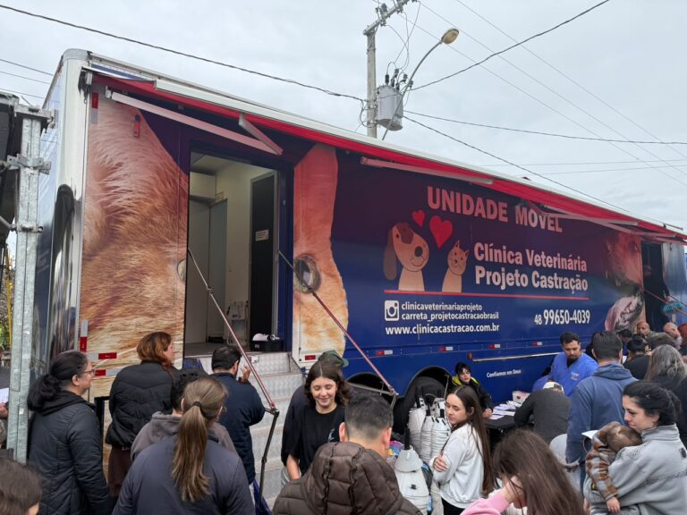 Itapema realiza mutirão e castra 343 cães e gatos em ação de bem-estar animal itapema-realiza-mutirao-e-castra-343-caes-e-gatos-em-acao-de-bem-estar-animal