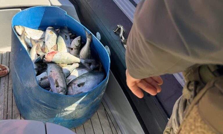 pf-prende-quatro-homens-por-pesca-ilegal-na-reserva-do-arvoredo,-em-sc