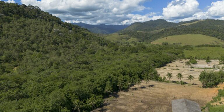 Agricultura ganha 11 milhões de hectares em 41 anos na Mata Atlântica agricultura-ganha-11-milhoes-de-hectares-em-41-anos-na-mata-atlantica