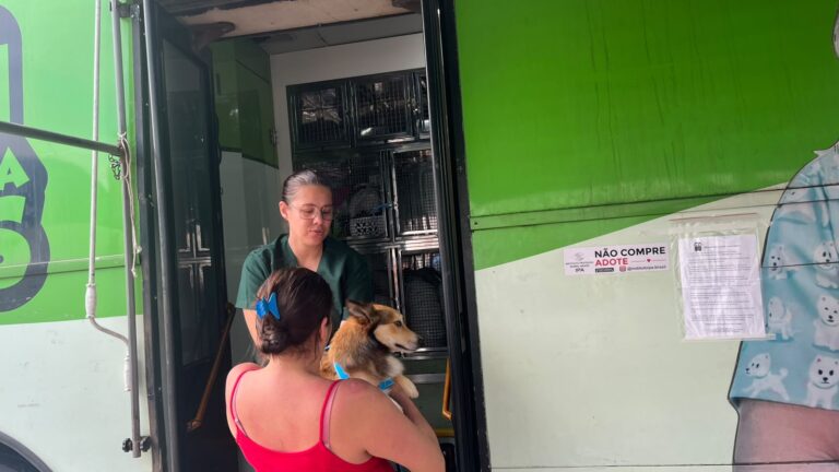 porto-belo-realiza-95-castracoes-de-caes-e-gatos-pelo-programa-pet-levado-a-serio
