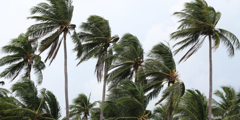 Defesa Civil do Rio emite novo alerta para chuvas e ventanias defesa-civil-do-rio-emite-novo-alerta-para-chuvas-e-ventanias
