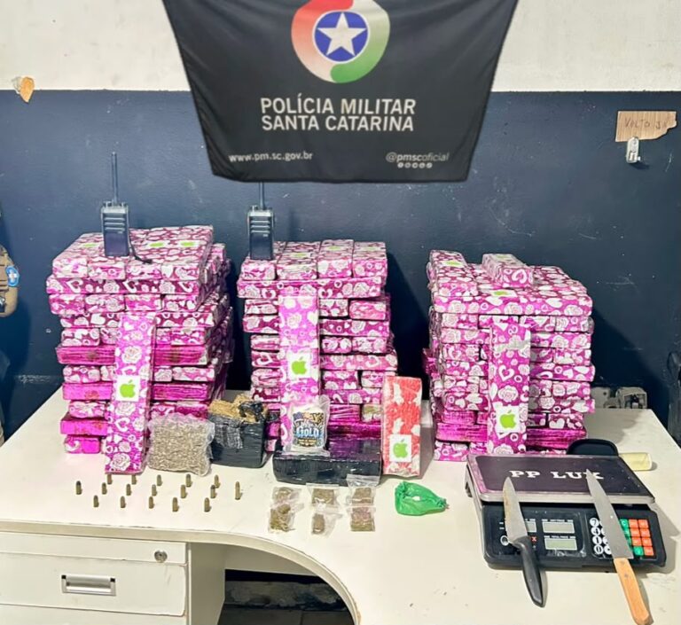pm-apreende-mais-de-115-quilos-de-drogas-e-prende-homem-em-navegantes