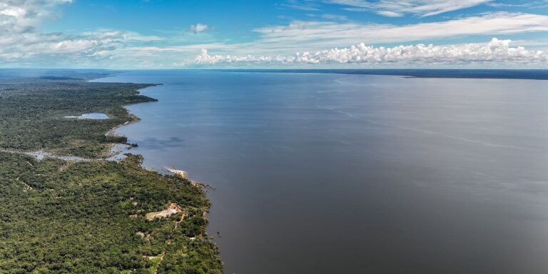 Veja os planos de governo de Flávio e Lula para meio ambiente e clima veja-os-planos-de-governo-de-flavio-e-lula-para-meio-ambiente-e-clima