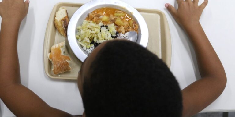 ONU: inovação para enfrentar crise alimentar é tema de ação no Brasil onu:-inovacao-para-enfrentar-crise-alimentar-e-tema-de-acao-no-brasil