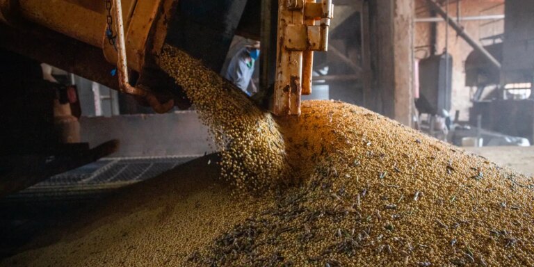 producao-brasileira-de-graos-deve-aumentar-apesar-do-el-nino