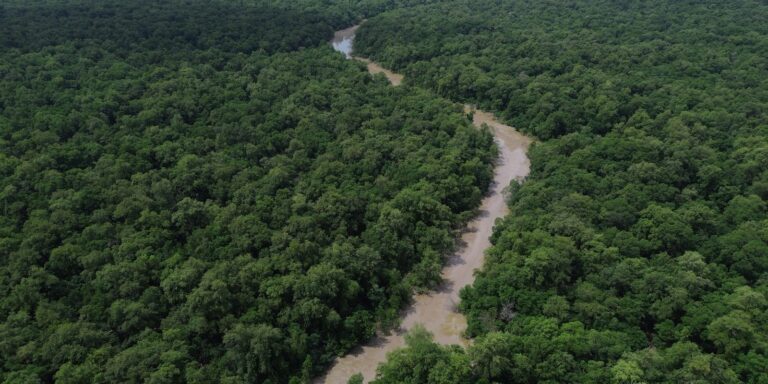 desmatamento-cai-41,8%-na-amazonia-e-23,8%-no-cerrado-em-um-ano