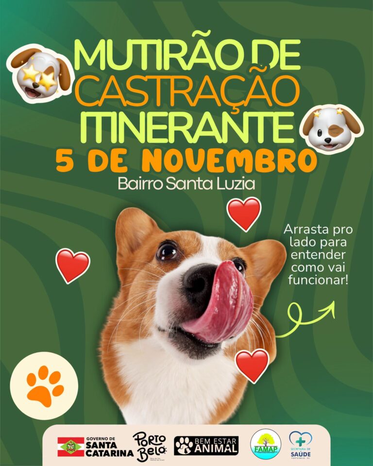 porto-belo-realiza-mutirao-de-castracao-de-caes-e-gatos-em-santa-luzia-no-dia-5-de-novembro