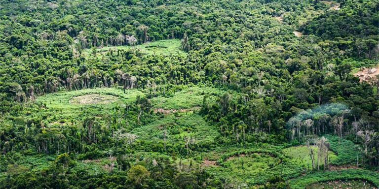 Plataforma pan-amazônica reúne 232 políticas públicas para bioeconomia plataforma-pan-amazonica-reune-232-politicas-publicas-para-bioeconomia