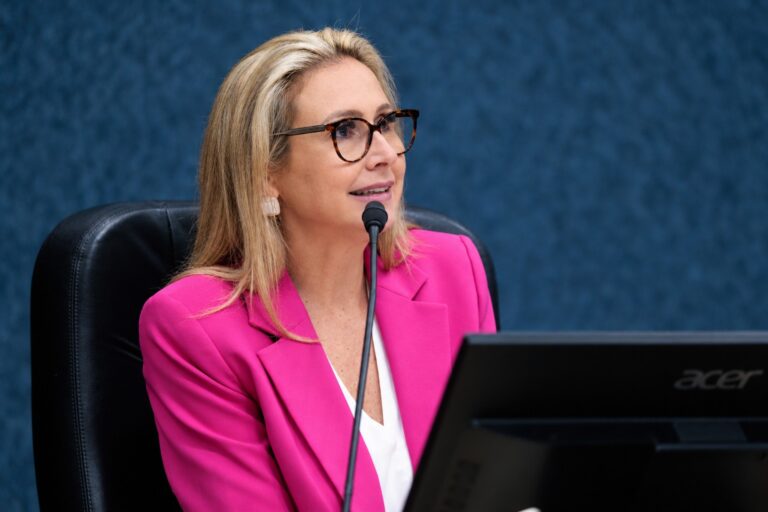 anna-carolina-cobra-dados-sobre-violencia-domestica-contra-mulheres-com-deficiencia-em-sc