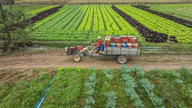 sc-amplia-limite-de-creditos-de-icms-para-produtores-rurais-e-preve-beneficiar-mil-agricultores-a-mais