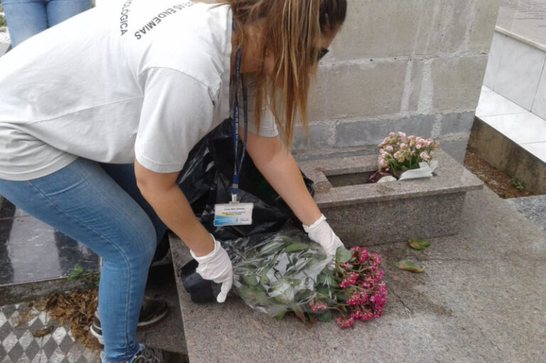 itajai-intensifica-prevencao-a-dengue-nos-cemiterios-apos-o-dia-de-finados