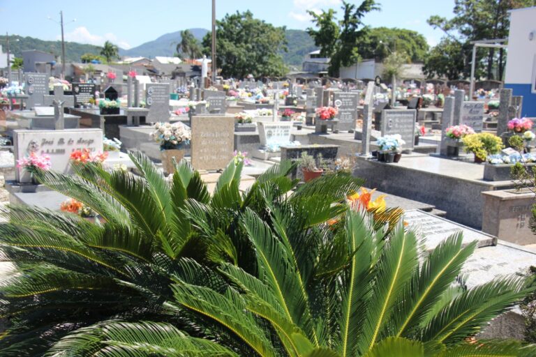 cemiterio-da-barra-tera-horario-ampliado-no-feriado-de-finados-em-balneario-camboriu